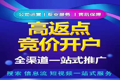 百度竞价排名案例：实战解析如何抢占市场先机